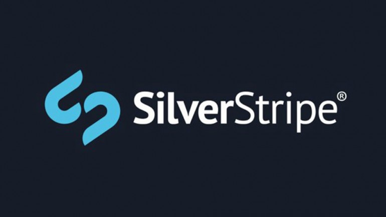 silverstripe1 940x650 v2